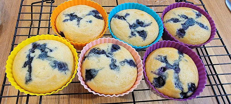 blueberry muffins